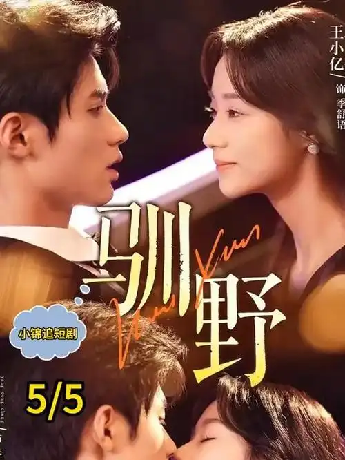 子夜电影经典佳片《第十三个信箱》封面